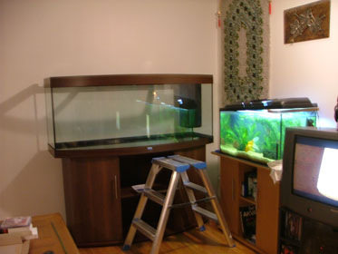 Det ny inkpta 450Liters Juwel akvariet